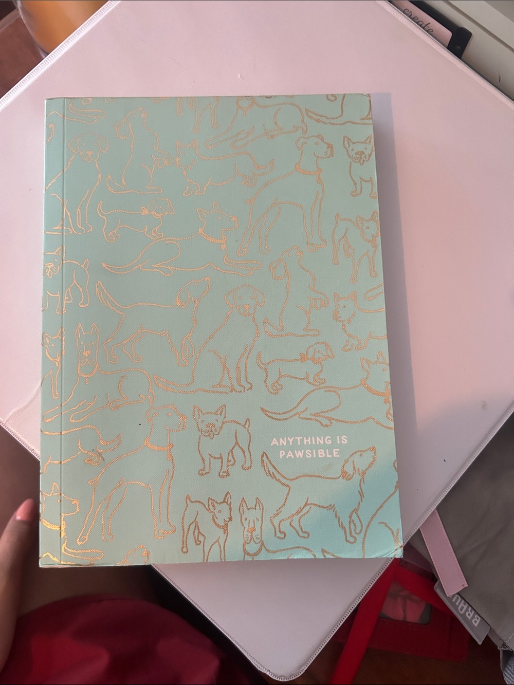 Mint Green "Anything Is Pawsible" Dog Pattern Notebook